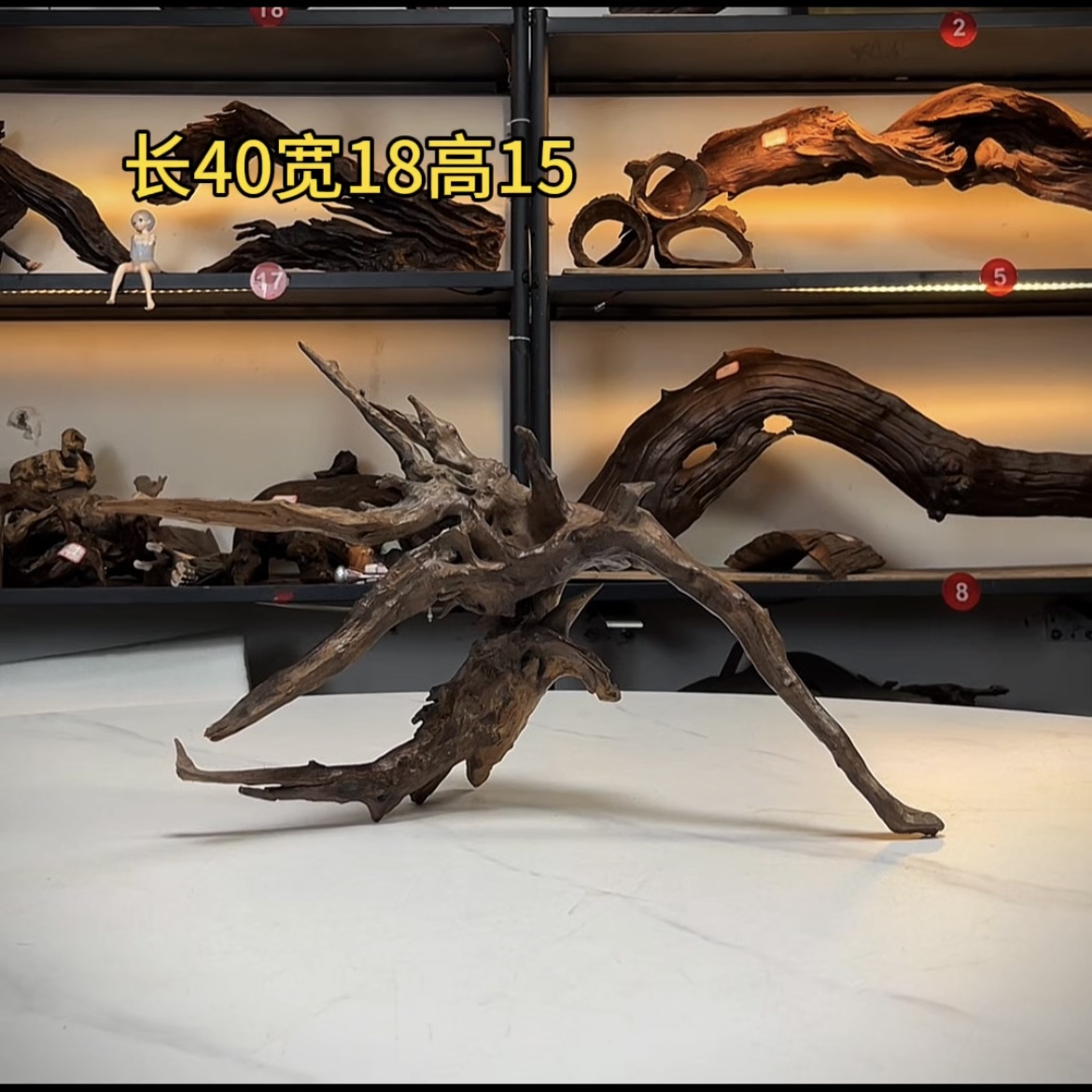 张大狼造景沉木长40cm一体多枝 南美鱼缸造景 紫柚木秒沉