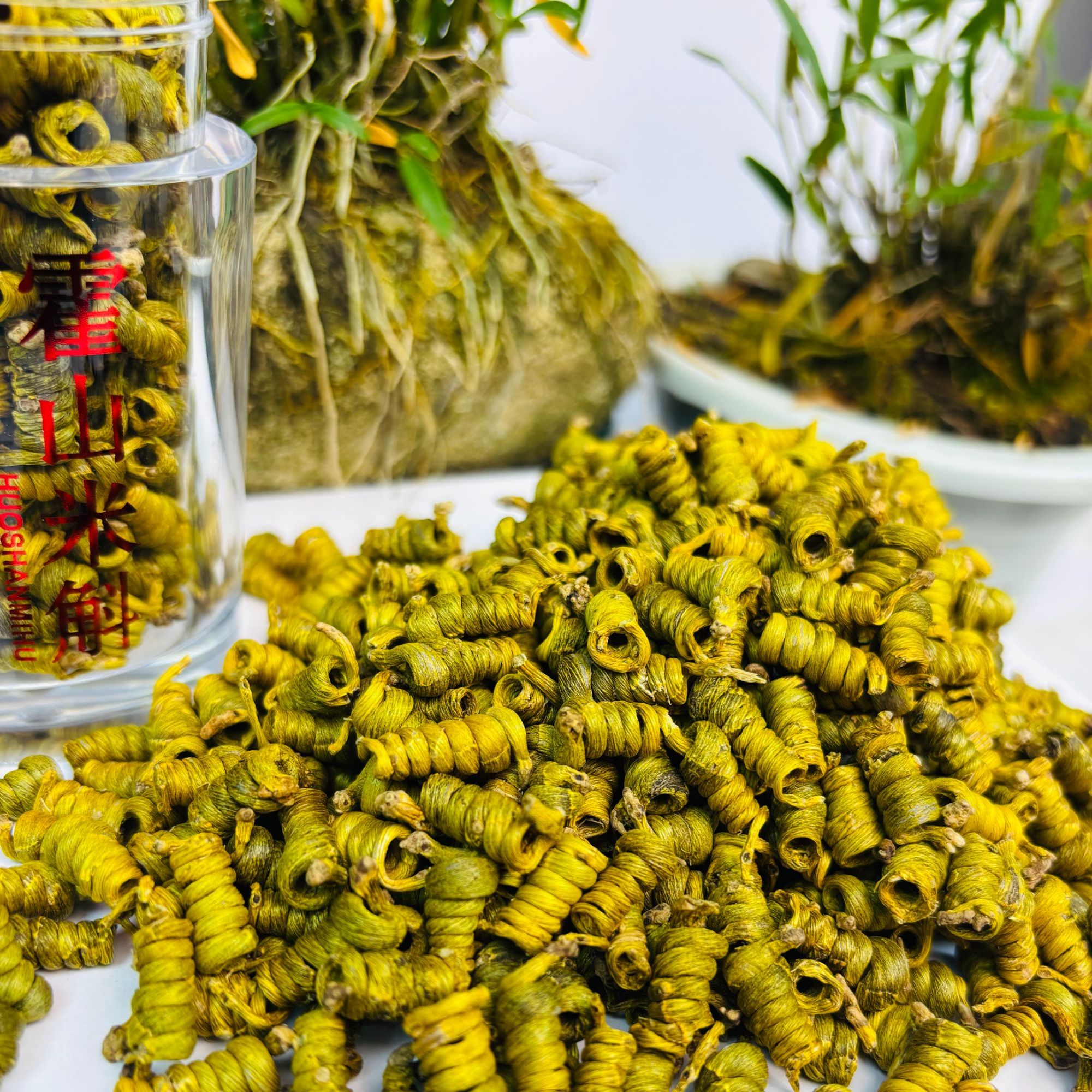 [斛养堂]23121高品质霍山米斛5年仿野生生滋补品