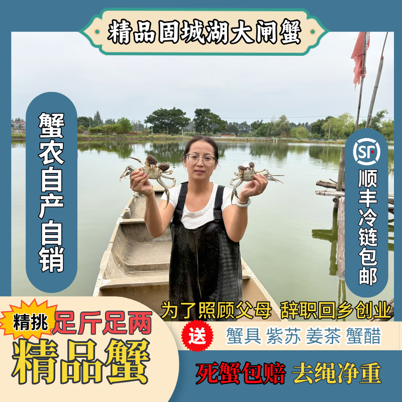 （活蟹）固城湖精品大闸蟹4两母蟹10只装蟹农自己养殖现铺现发