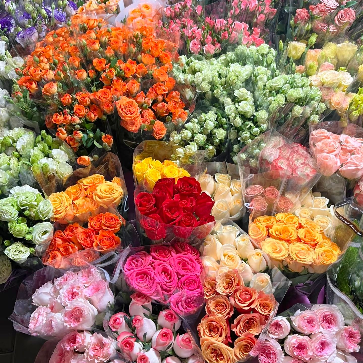 A3【高原红玫瑰+卡布奇诺玫瑰+多头橙色芭比玫瑰+配草】鲜花套餐