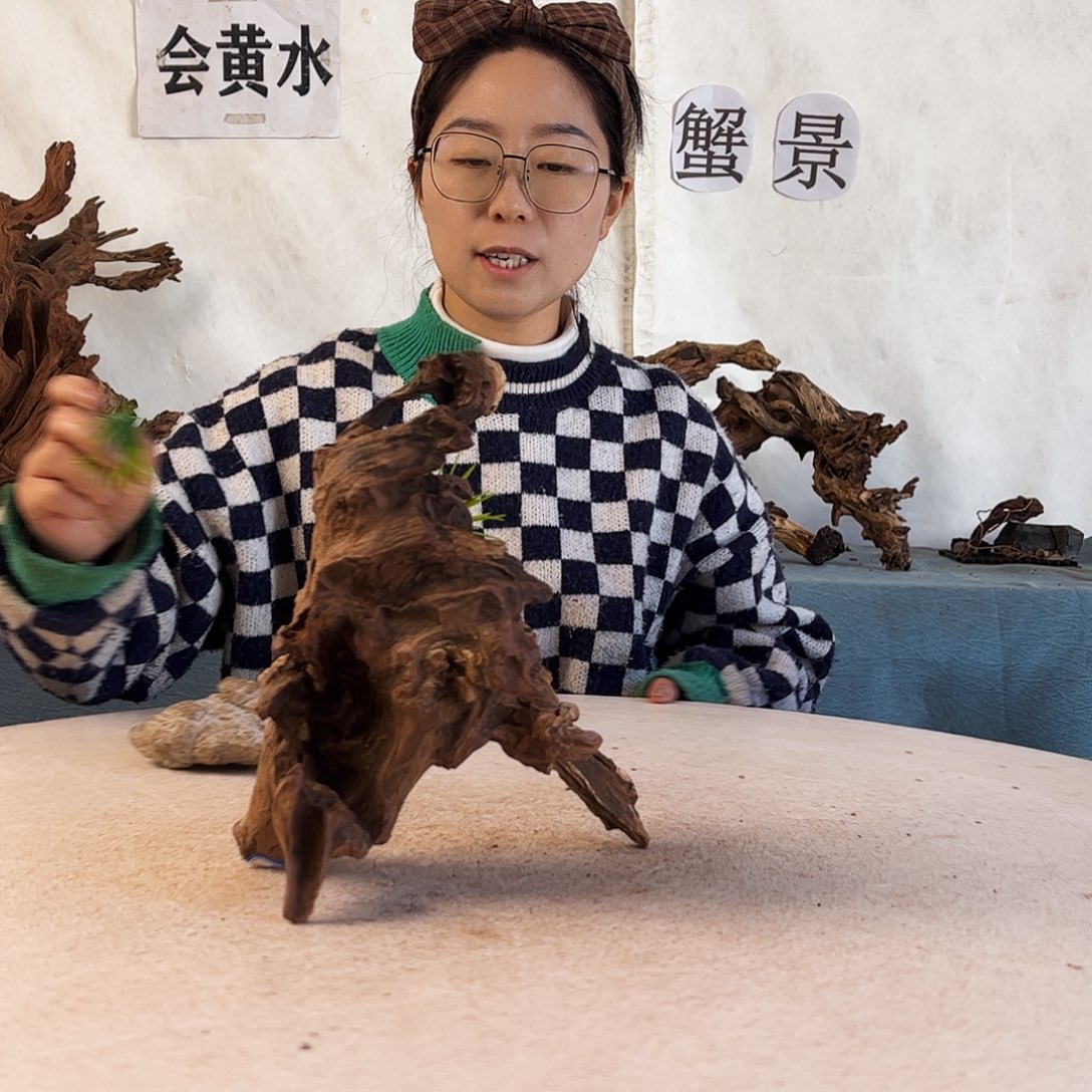 周末福利爬宠造景