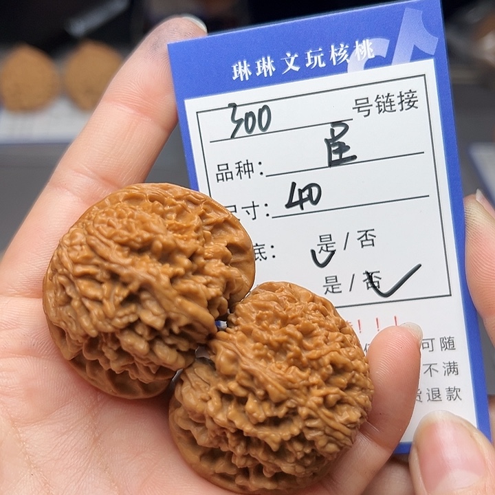 文玩核桃吊坠核桃树300