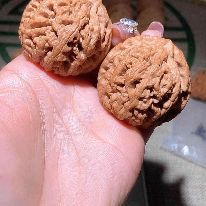 淡***味45尺寸大粗筋！好运连连