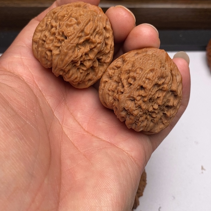 三角疆狮子头40尺寸有修