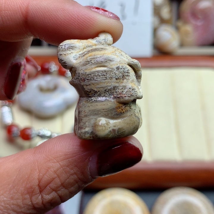 硅化珊瑚（珊瑚玉）颈饰未镶嵌