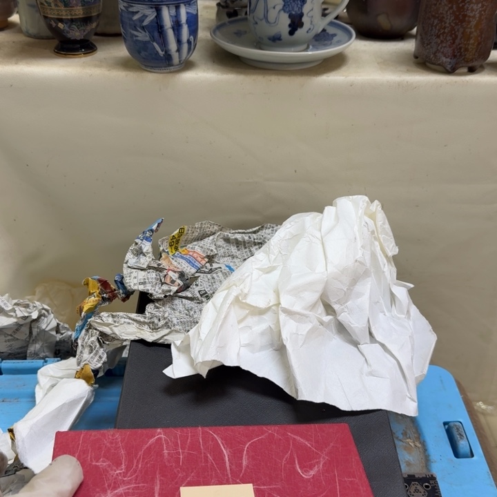 瓷片芋*岁开播啦…开播啦！