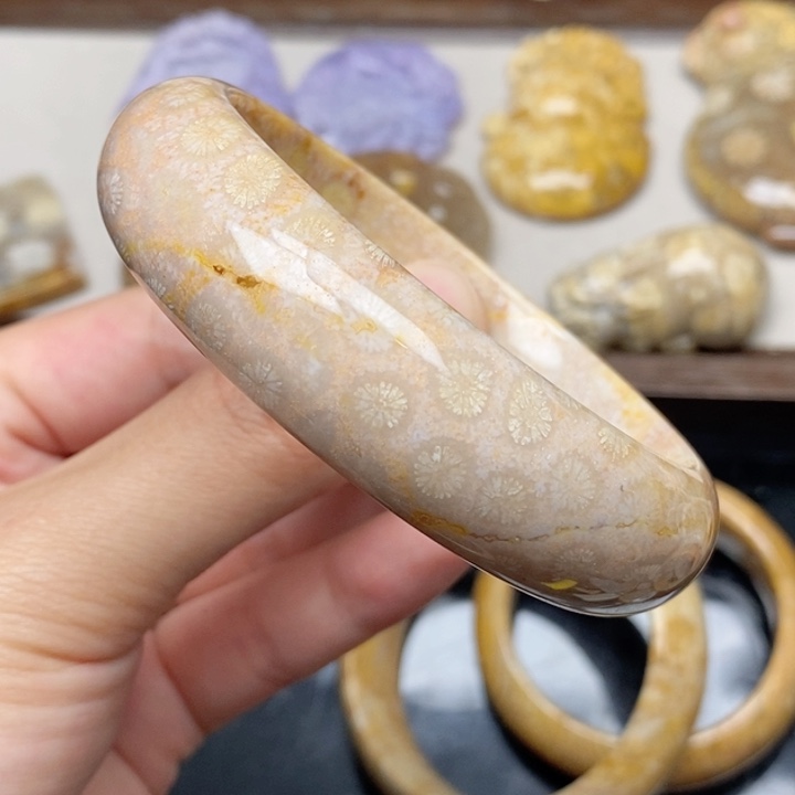 硅化珊瑚（珊瑚玉）未镶嵌手镯58.8