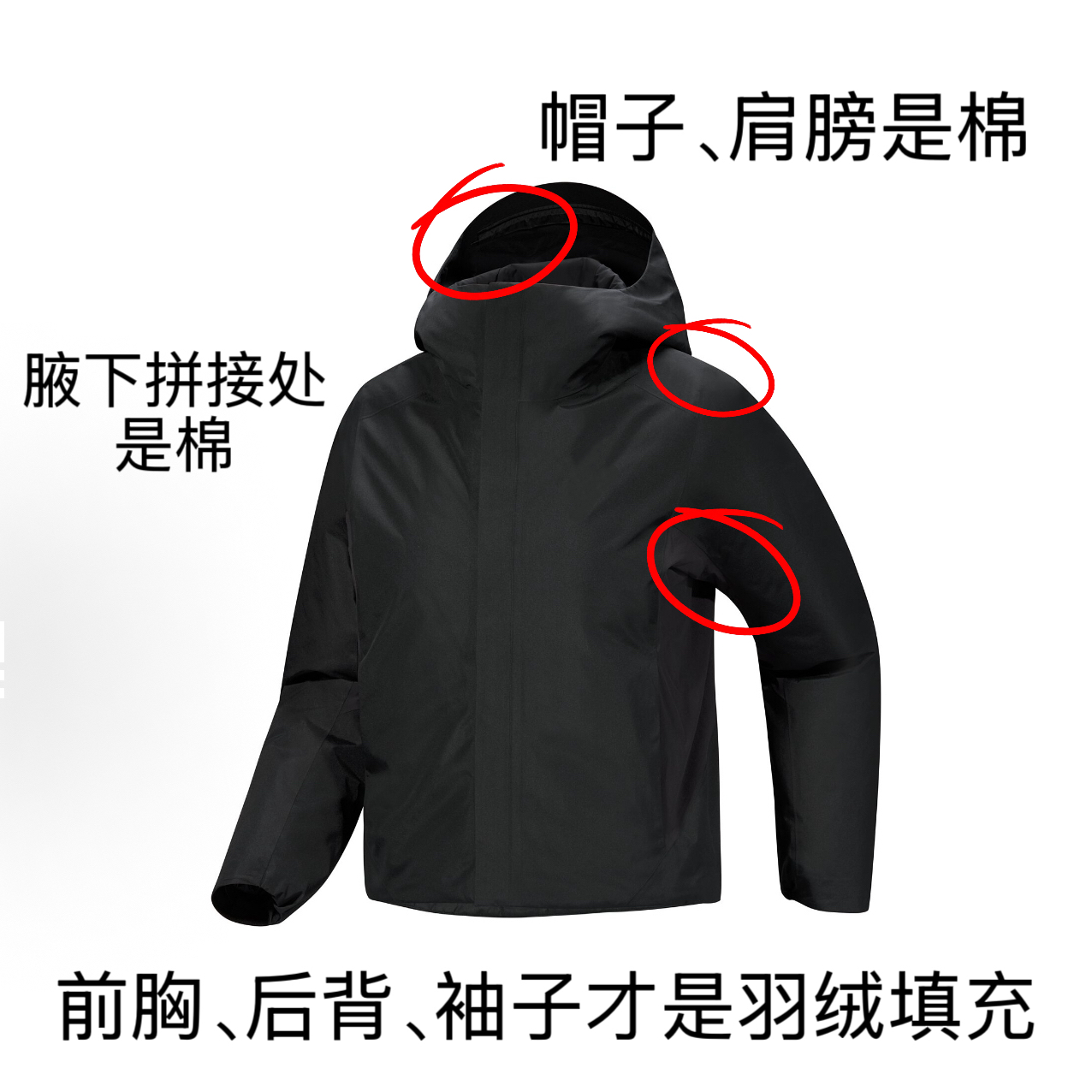 SLN户外休闲冬款鹅绒服  起飞