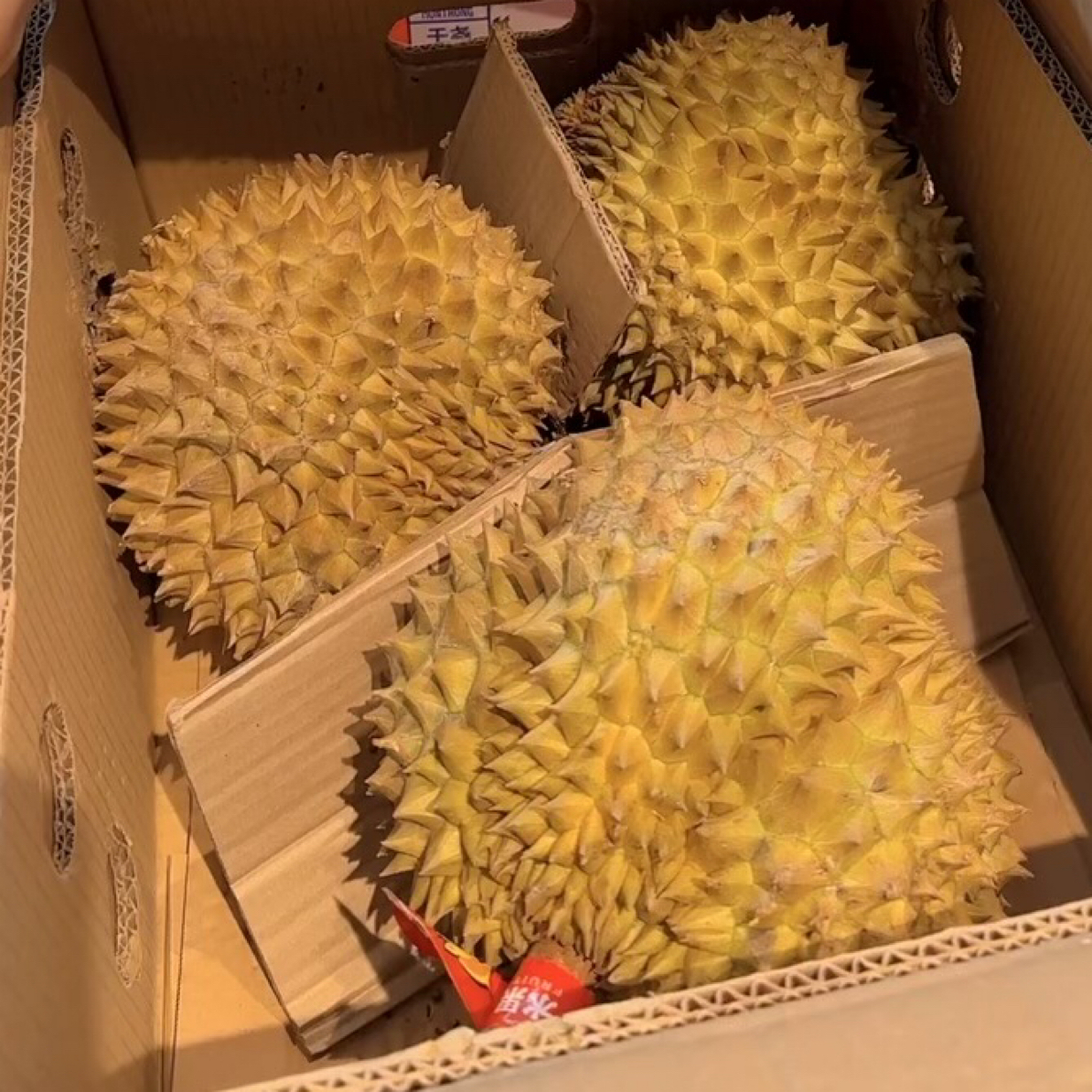 新鲜金枕半生榴莲一个4-6斤核小金枕越南