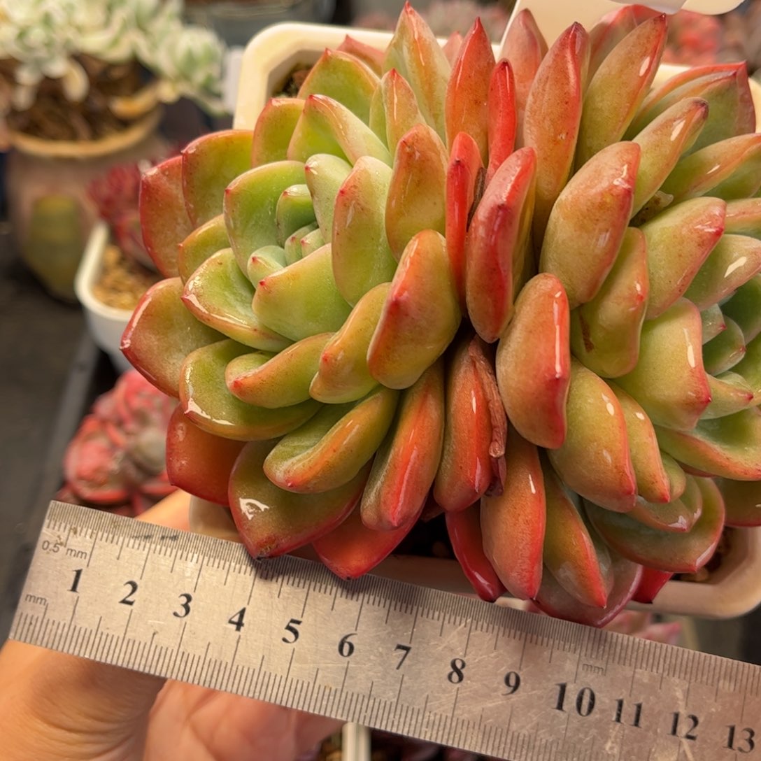 2730 满30包邮天冷地区必拍保温箱