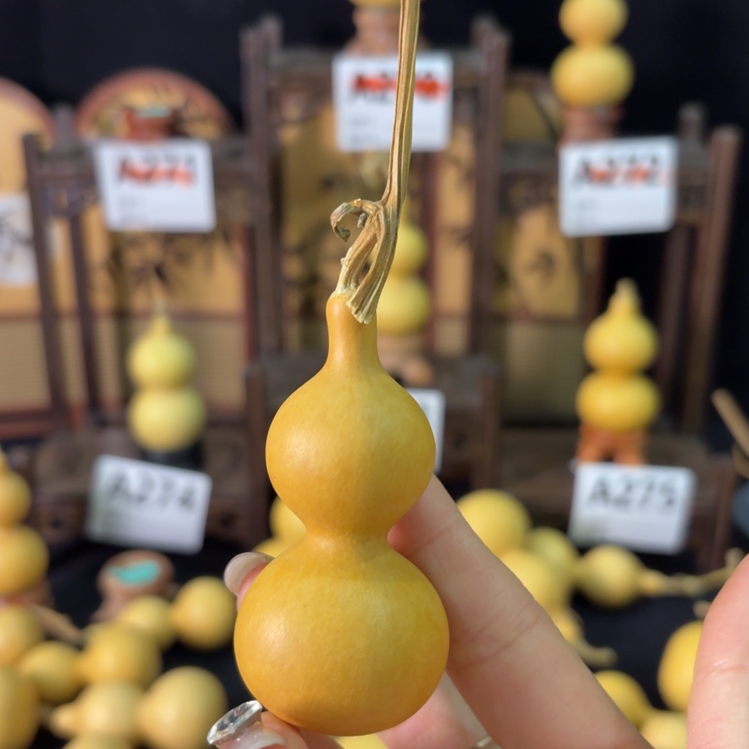 用***0我也不知道我为什么