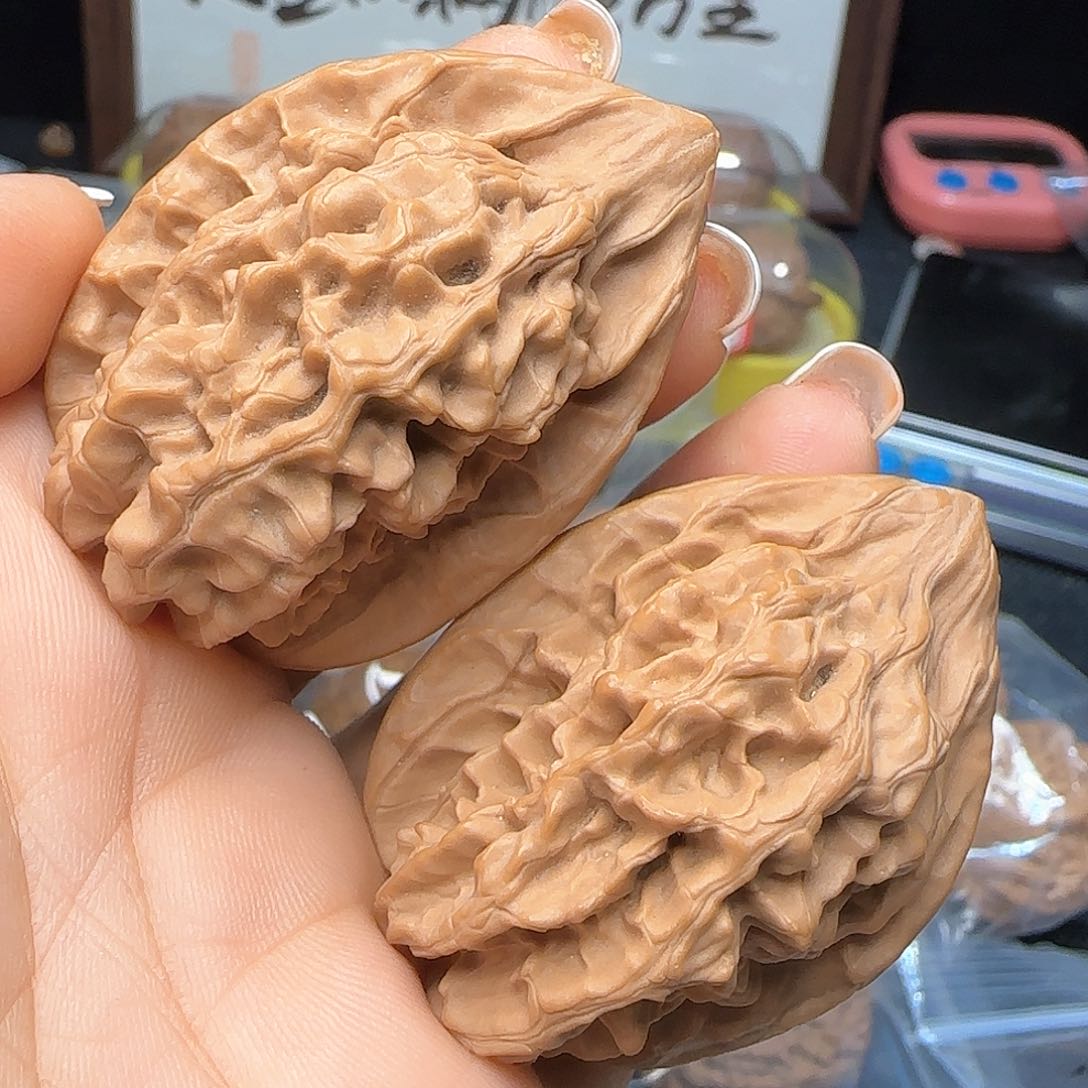 文玩核桃吊坠37全品剑齿虎