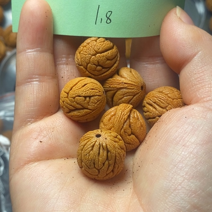 吊坠桃核秦岭山野生桃核