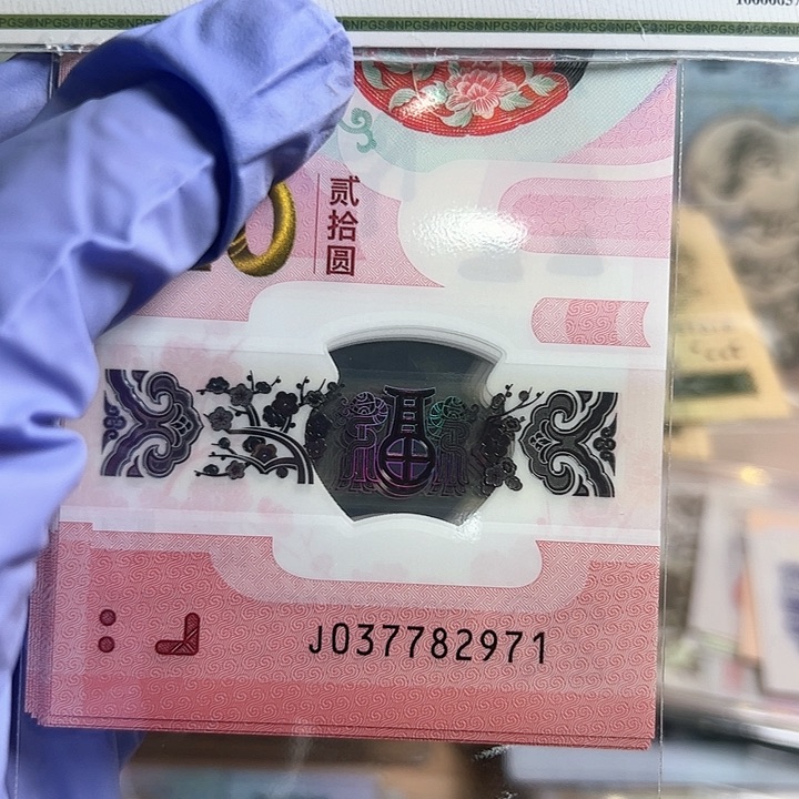 2025年蛇年纪念钞标十