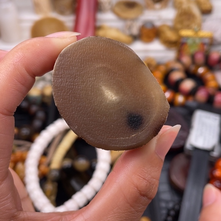 驼骨其他好的牛角