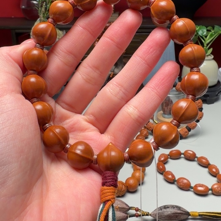 橄榄核手串/手链鲨鱼背