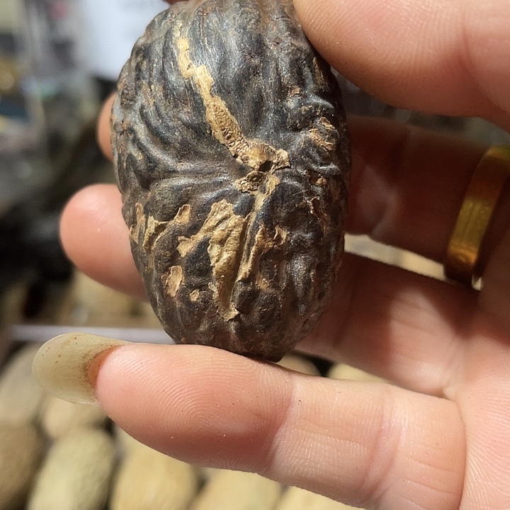 千***雪把件千眼菩提天然千眼菩提不退不换