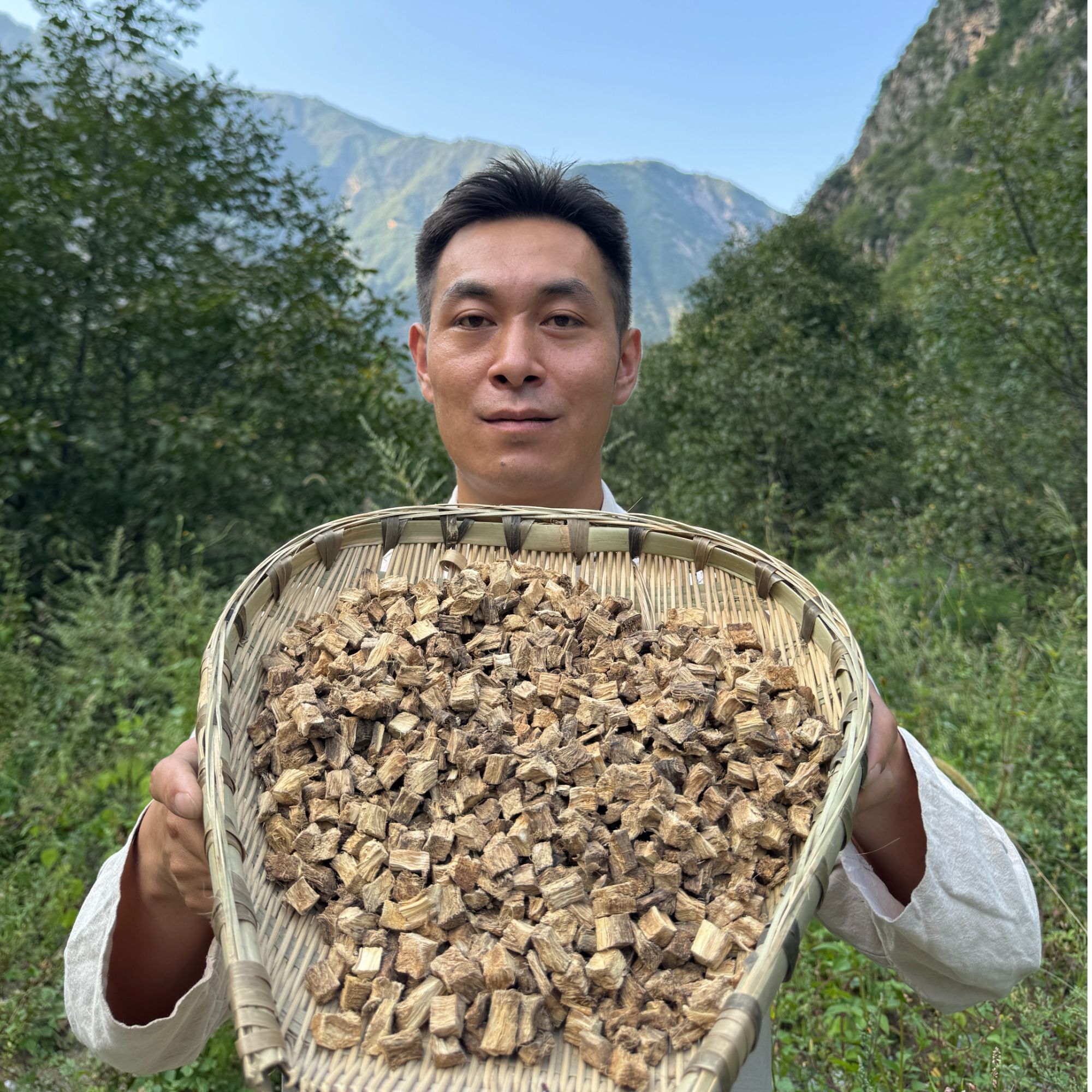 野生葛根块 （煮茶）