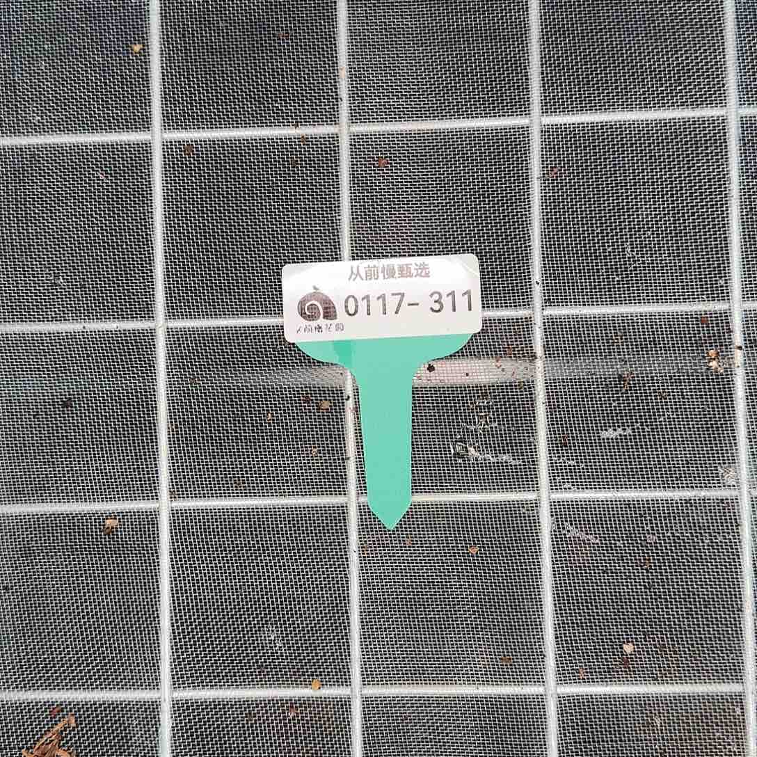 从前慢花园精选0117-311