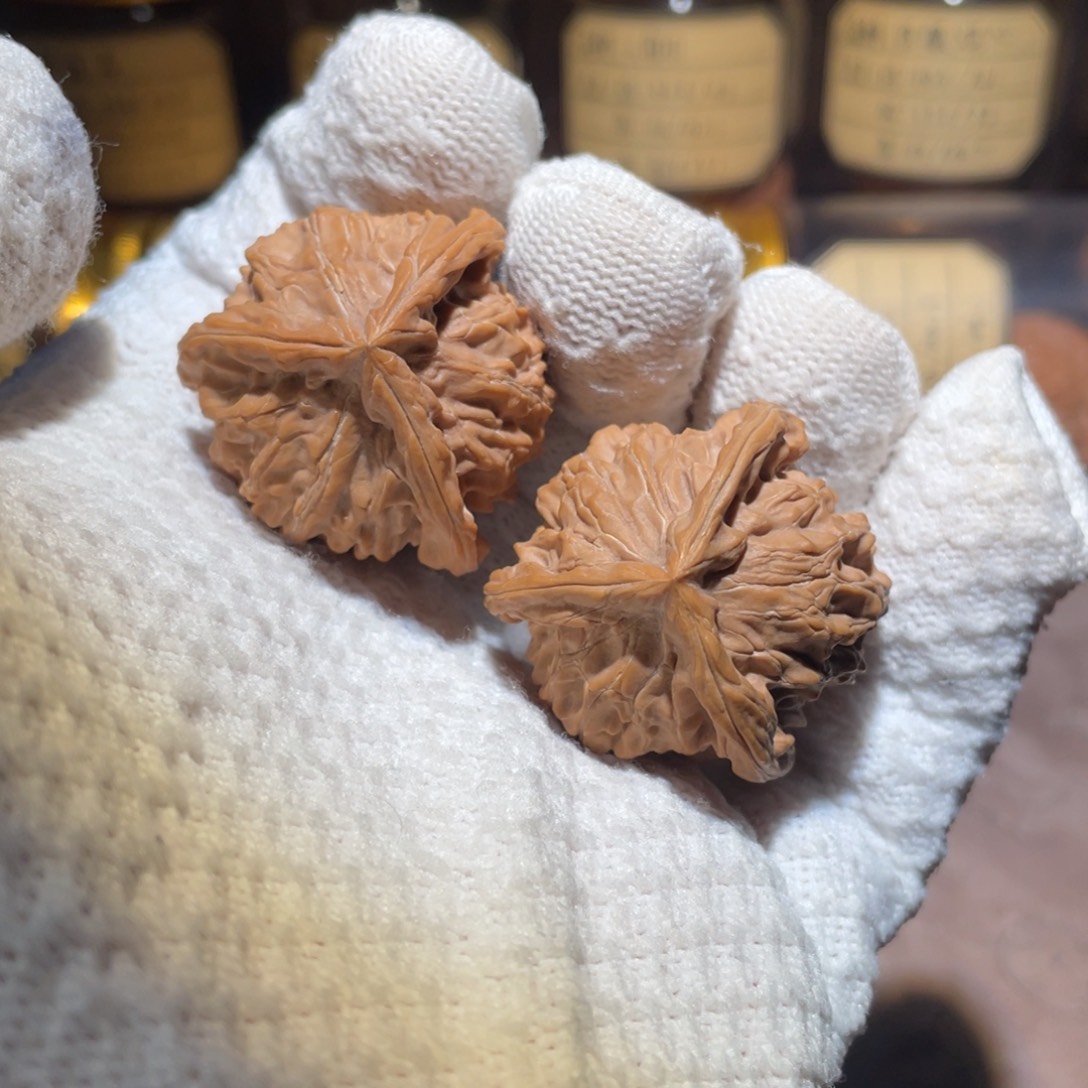 核桃36盘山奔bbbbbb