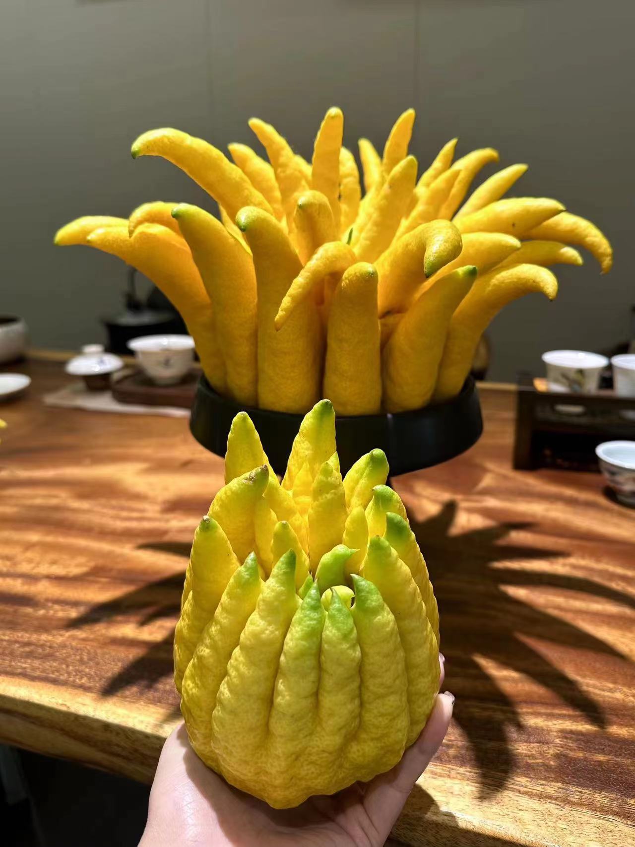 云南精品佛手柑瓜高山佛手天然香薰