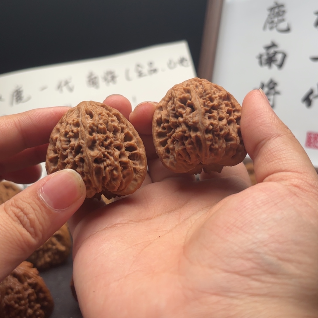 伟***弟核桃涿鹿南疆一代