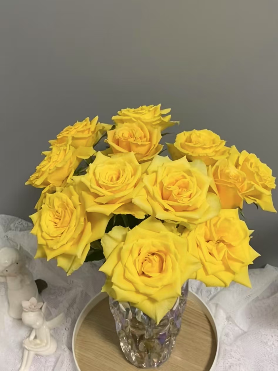 氧花季 锦瑟年华玫瑰18支+2支防损 一单包邮 两单升级快递