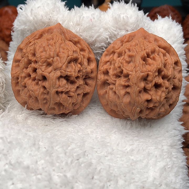 把件文玩核桃42水龙纹53克