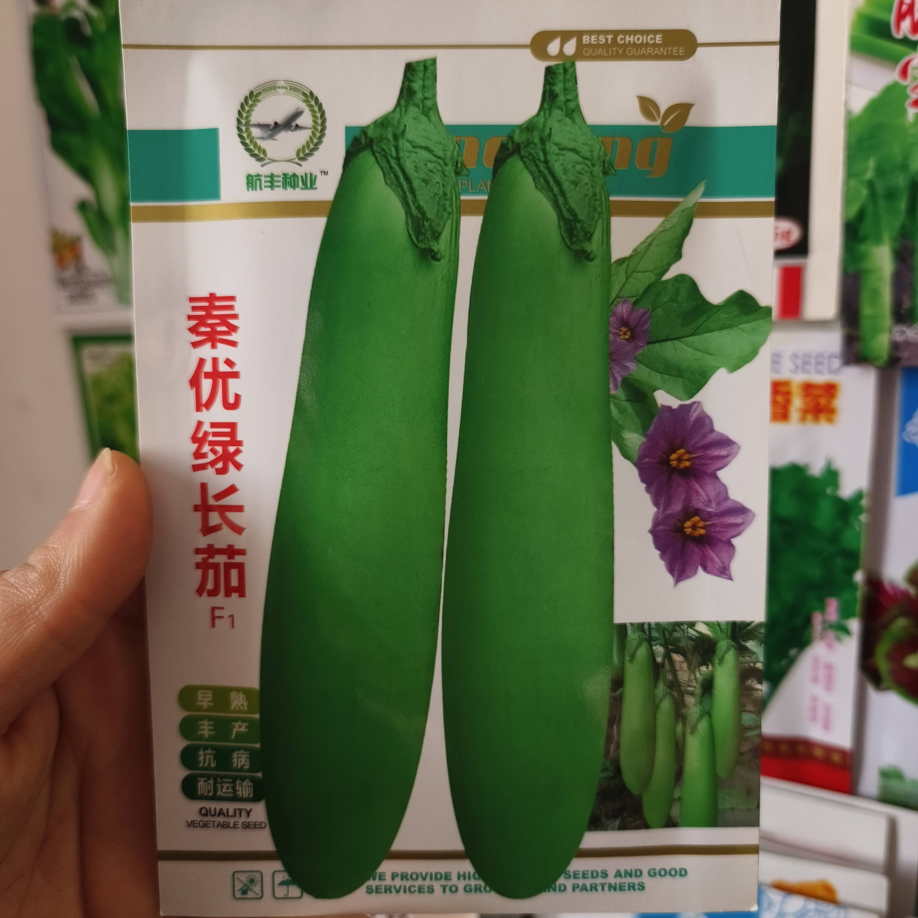 秦优绿长茄茄子种子早熟长棒型耐寒耐热绿皮顺直抗病春秋高产种孑