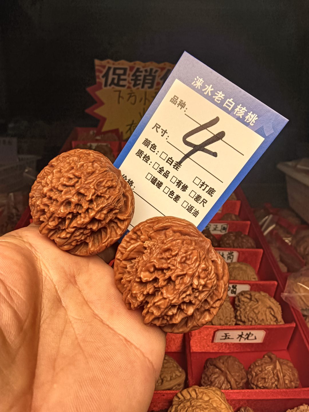 文玩核桃把件-大刺48mm