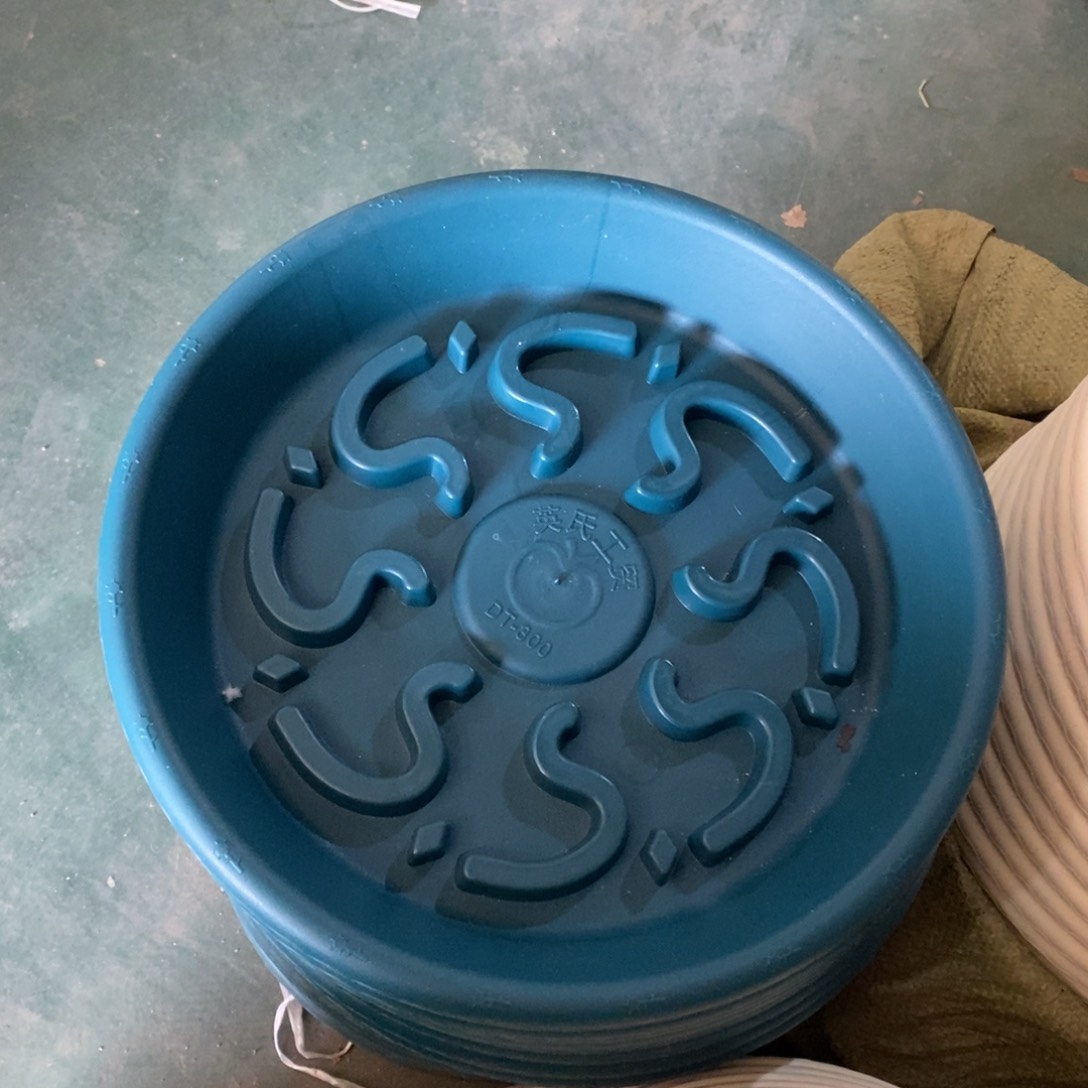 树脂300托盘军绿5个