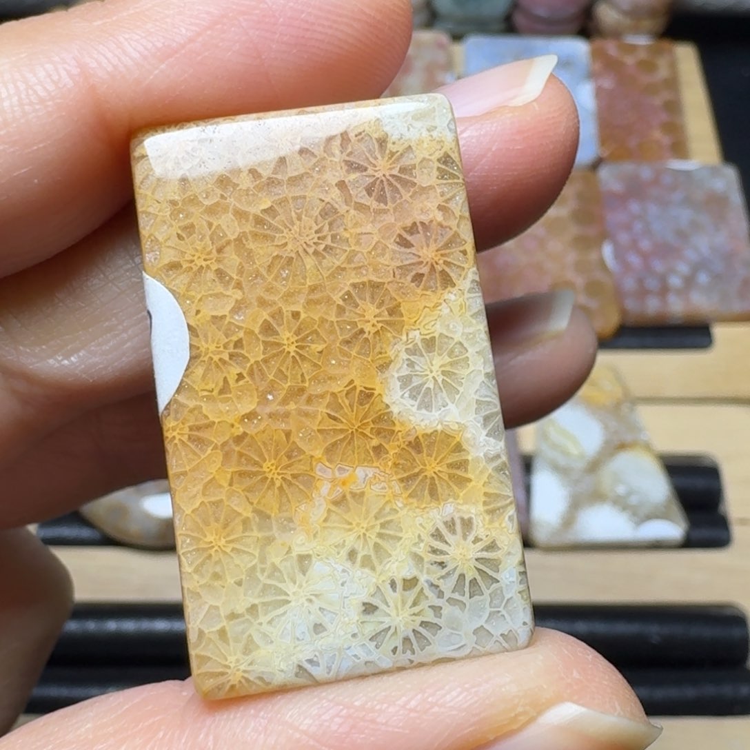 硅化玉闪闪的蕾丝未镶嵌