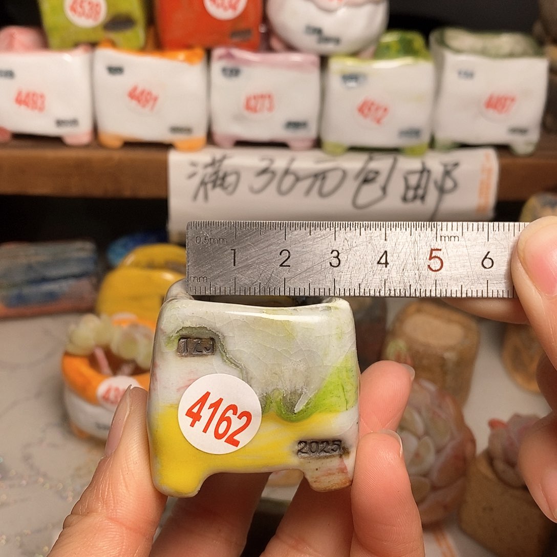 红陶拍5送一个小