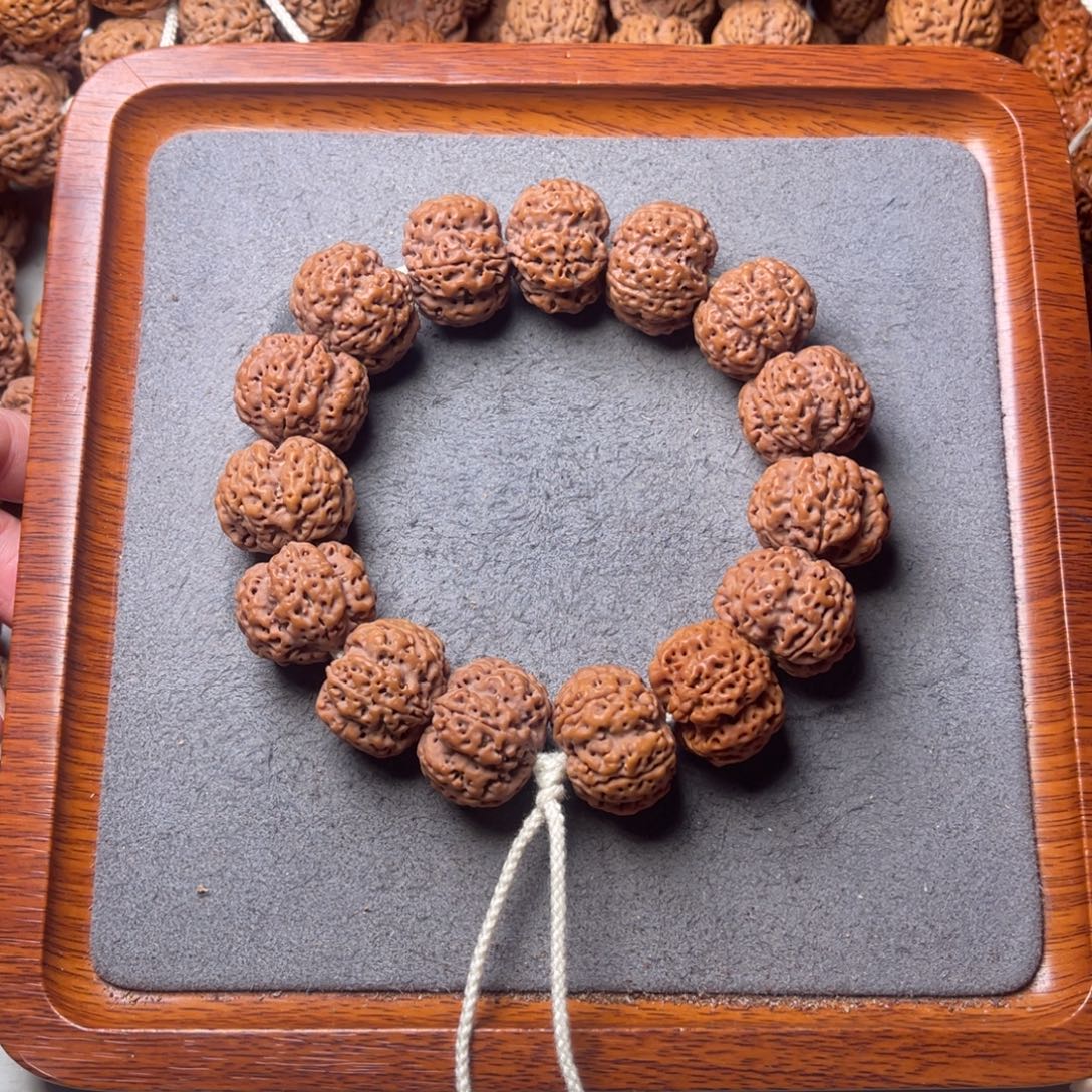 菩提19号金刚菩提满肉梅花23