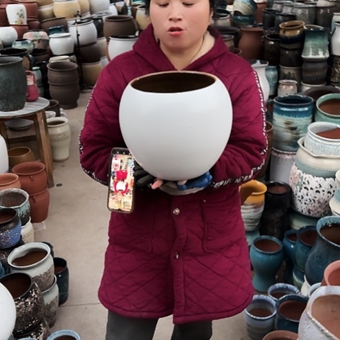 口20高23瑕疵盆子。