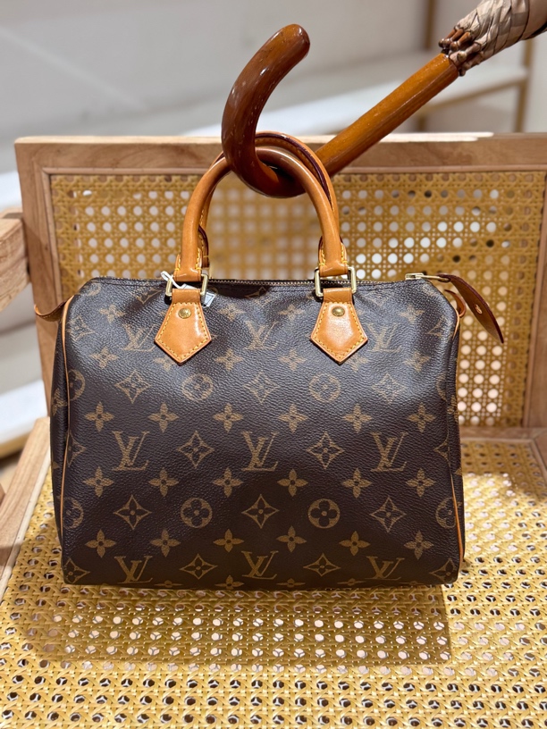 95新 LouisVuitton/路易威登 老花speedy25手提款