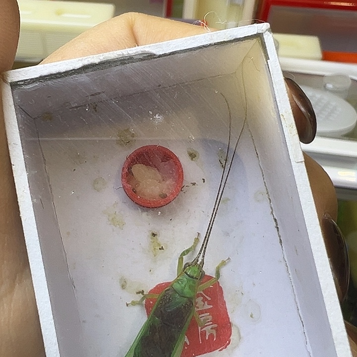 春***天哈哈哈哈哈哈哈哈哈