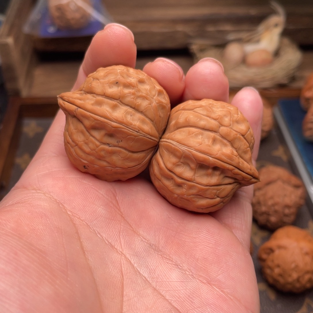 文玩核桃把件G7号35尺龟甲纹