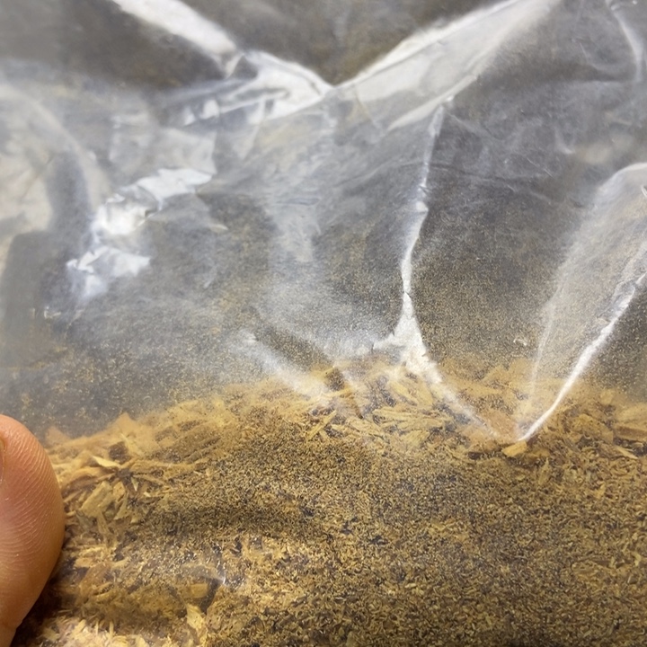 知***！木老山檀木料木料