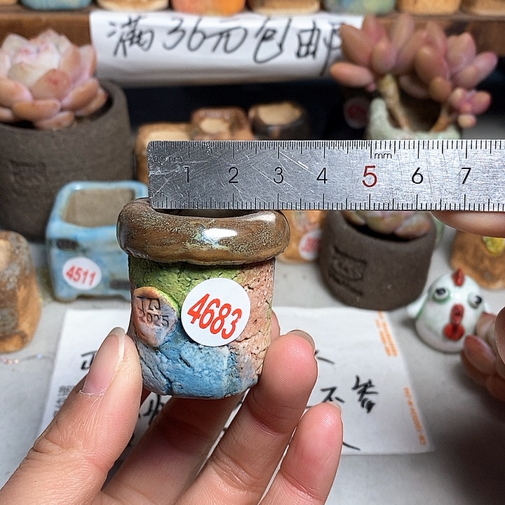 红陶拍5送一个小