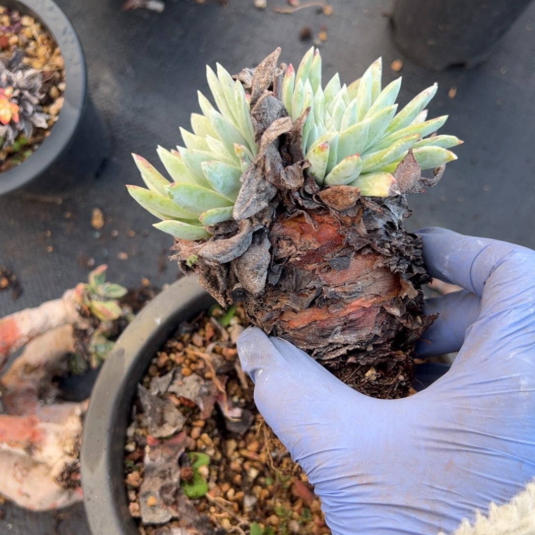 1937哈哈哈哈哈哈哈