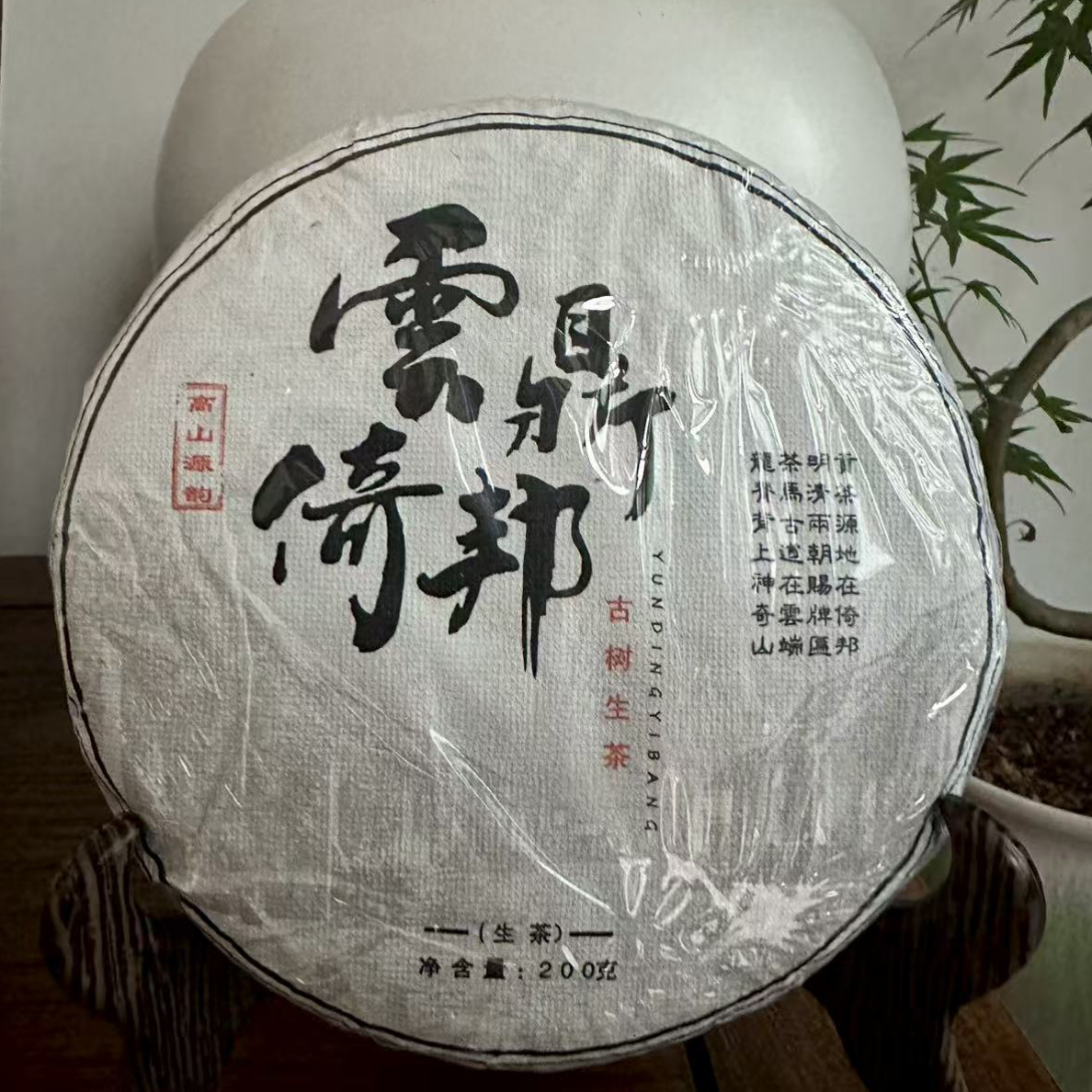 2023年倚邦 （麻栗树）普洱生茶