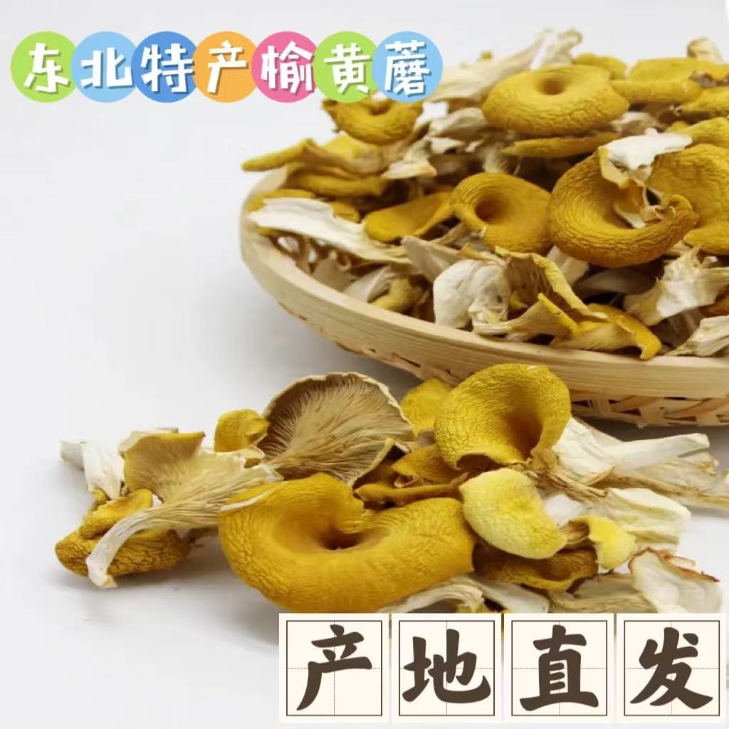 东北野生榆黄蘑碎片干货
