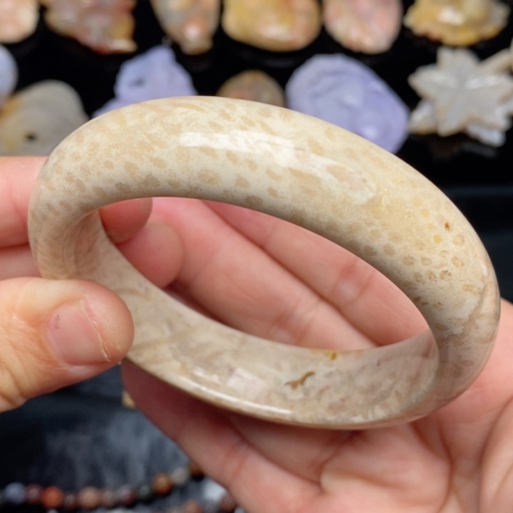 硅化珊瑚（珊瑚玉）颈饰未镶嵌59