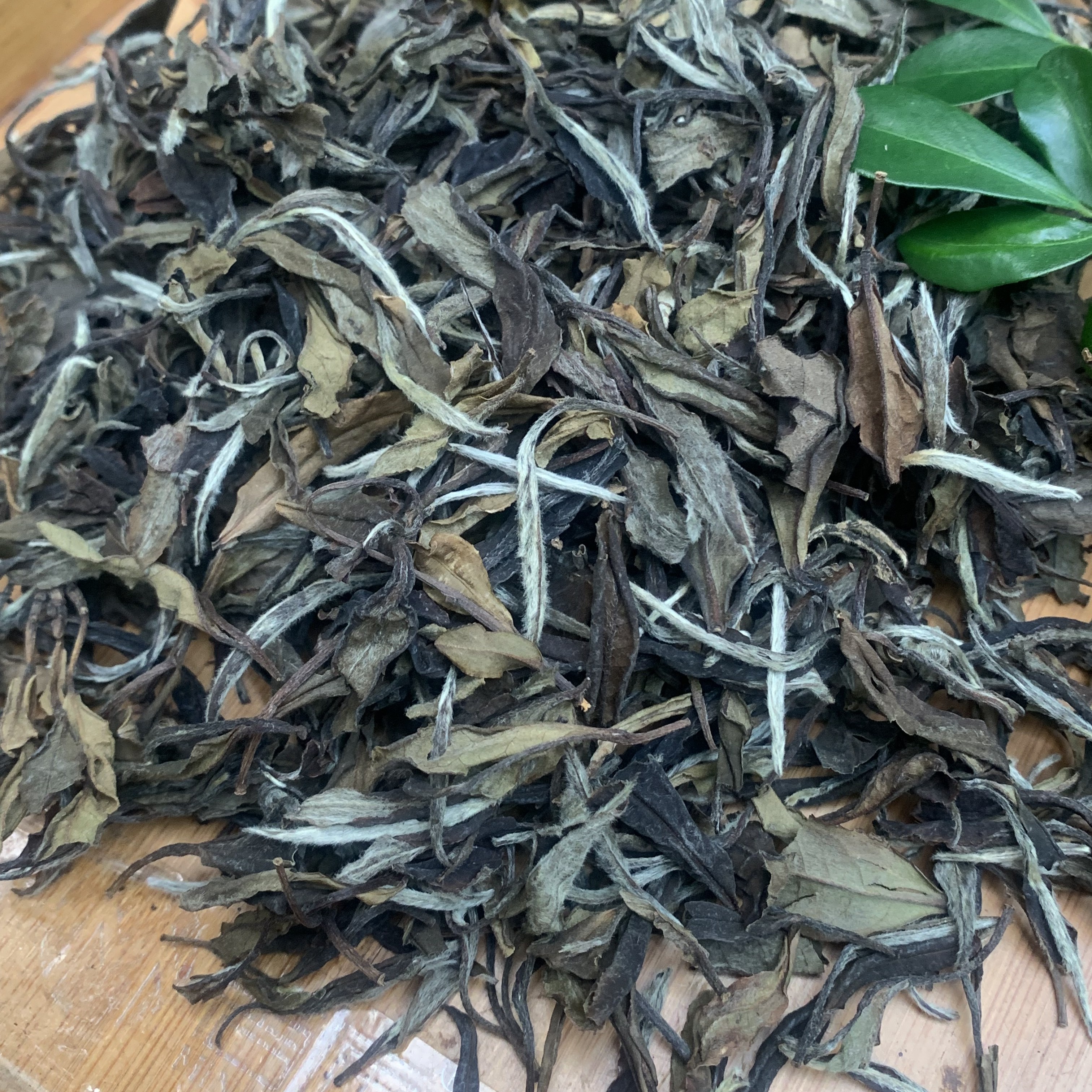 【小菜茶】2013年福鼎白茶小菜茶陈香蜜香木质香参香