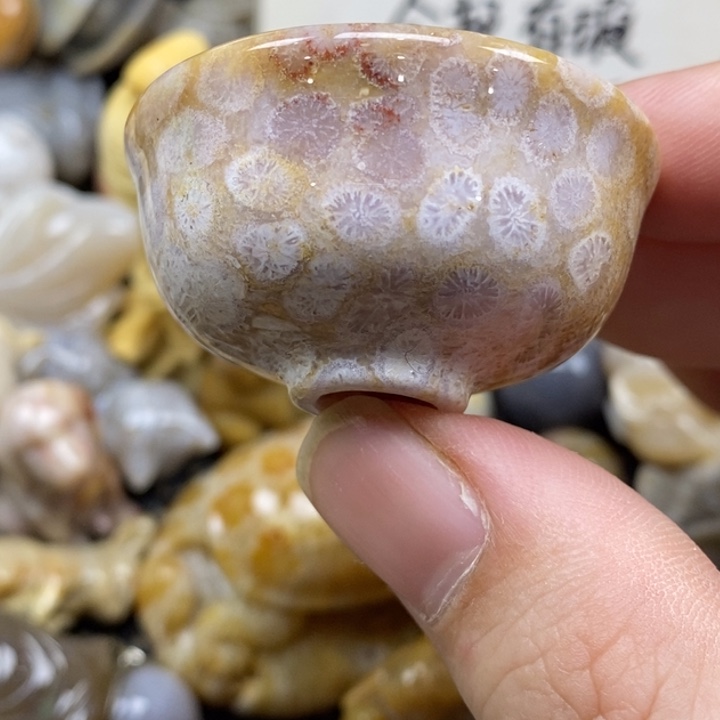 硅化珊瑚（珊瑚玉）未镶嵌颈饰