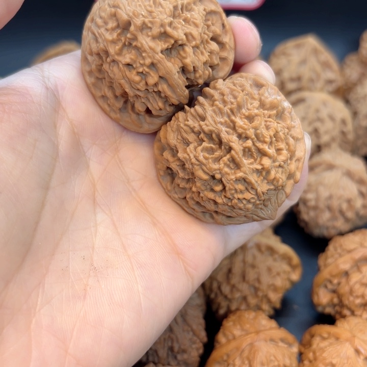 43满天星全品无修全品无修全品