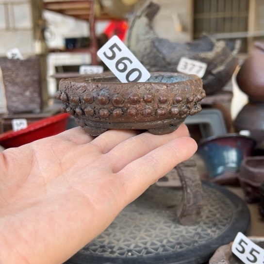 红陶8.5x6x2.3/560/////