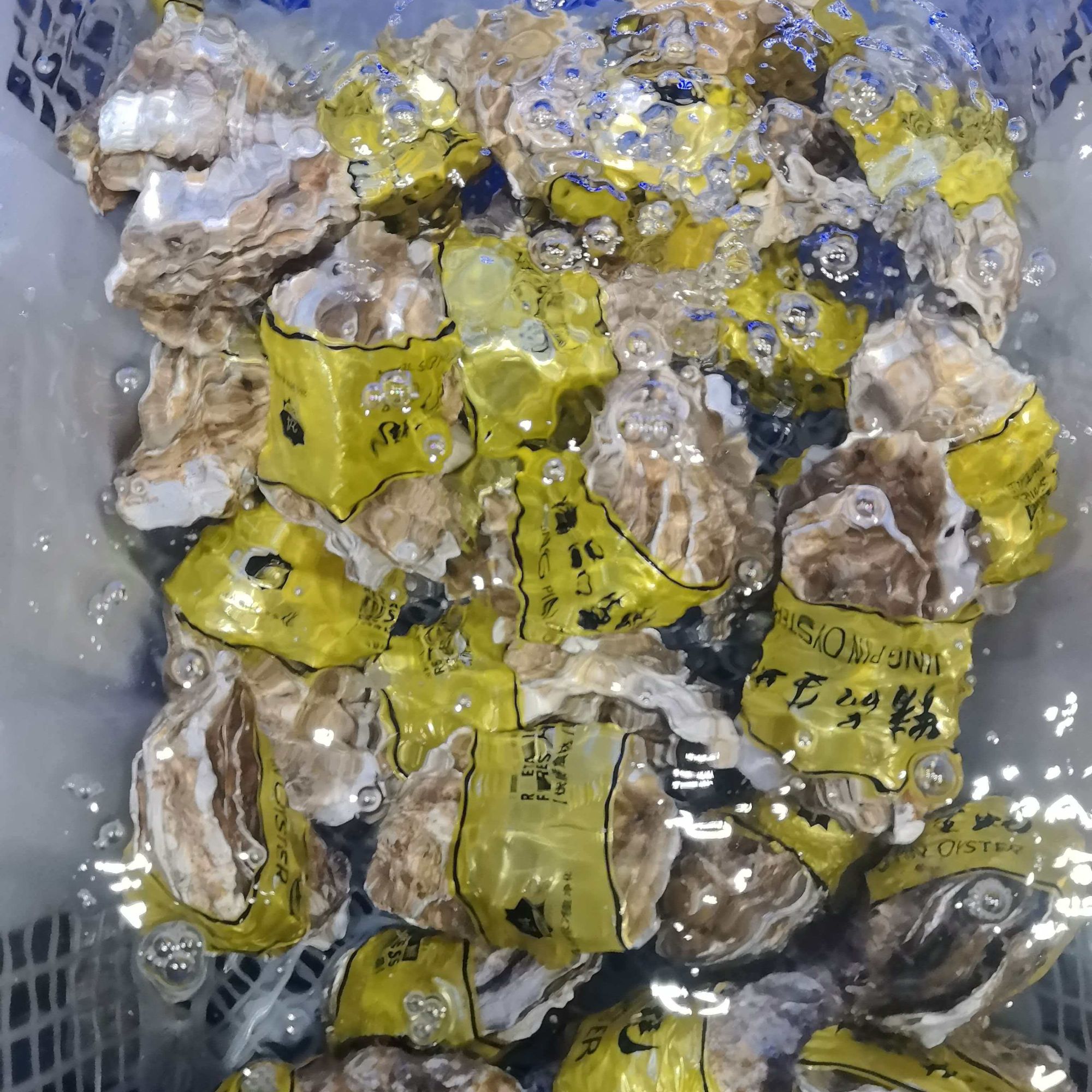 精品生蚝4.0+ 300克/只 ±50g