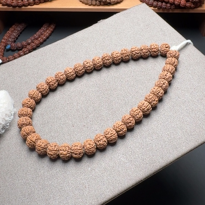 金刚菩提吊坠老树王1.0